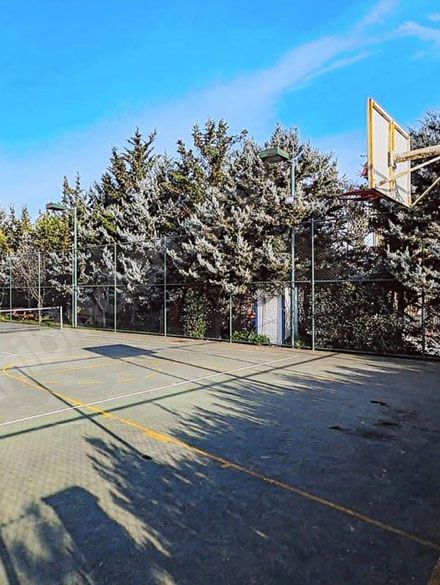 Spor Alanlar�